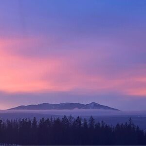 Meet your Posher, Candace